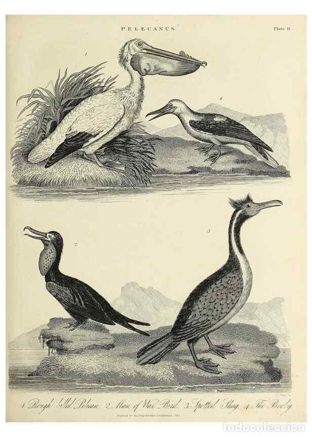 Colecionismo de Revistas e Jornais: Reproducci&oacute;n/Reproduction 49757174641: Encyclopaedia londinensis, or, Universal dictionary of arts,