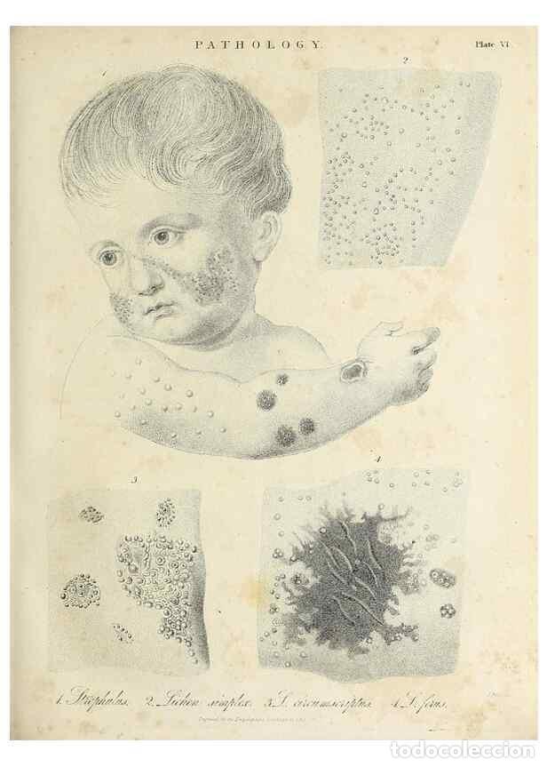 Colecionismo de Revistas e Jornais: Reproducci&oacute;n/Reproduction 49757167486: Encyclopaedia londinensis, or, Universal dictionary of arts,