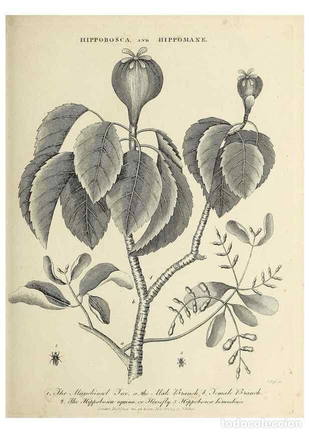 Coleccionismo de Revistas y Peri&oacute;dicos: Reproducci&oacute;n/Reproduction 49753989618: Encyclopaedia londinensis, or, Universal dictionary of arts,