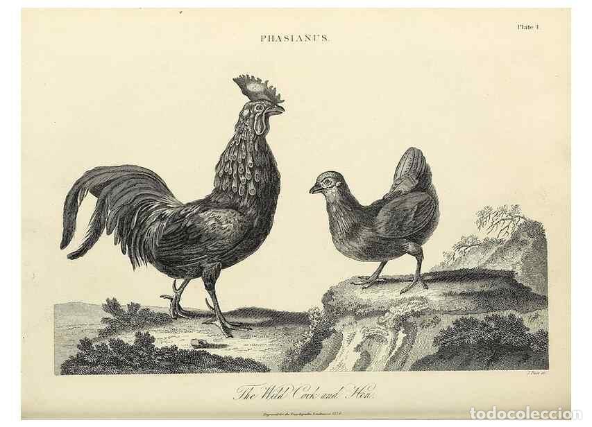 Colecionismo de Revistas e Jornais: Reproducci&oacute;n/Reproduction 49757554927: Encyclopaedia londinensis, or, Universal dictionary of arts,