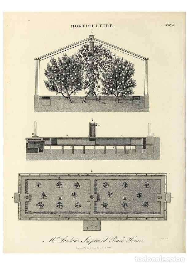 Coleccionismo de Revistas y Peri&oacute;dicos: Reproducci&oacute;n/Reproduction 49753995178: Encyclopaedia londinensis, or, Universal dictionary of arts,