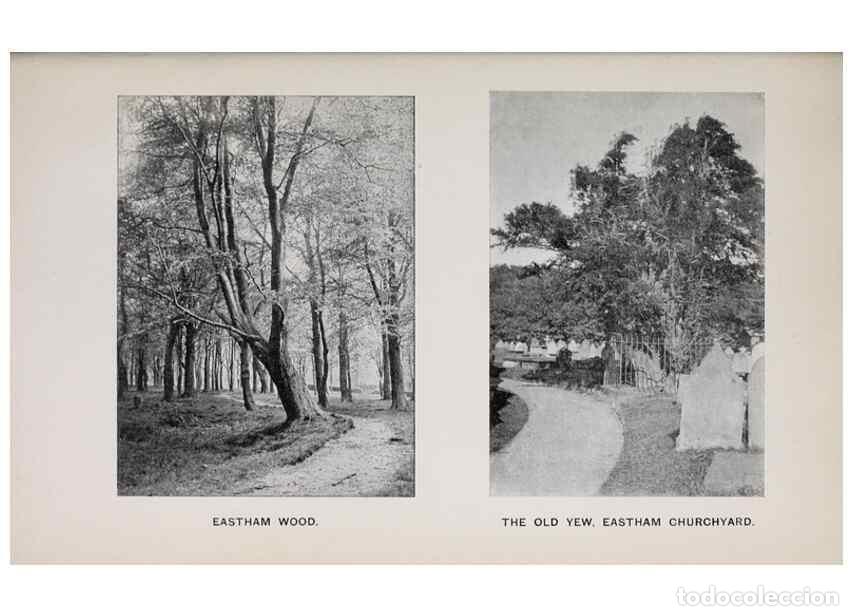 Collection Magazines and Newspapers: Reproducci&oacute;n/Reproduction 49743308671: The flora of the Liverpool district /. Liverpool :D. Marples