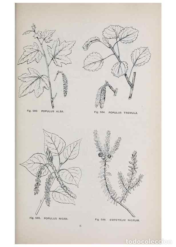 Colecionismo de Revistas e Jornais: Reproducci&oacute;n/Reproduction 49743291126: The flora of the Liverpool district /. Liverpool :D. Marples