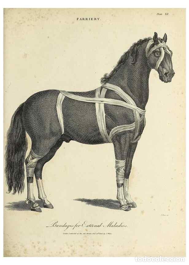 Collezionismo di Riviste e Giornali: Reproducci&oacute;n/Reproduction 49754683197: Encyclopaedia londinensis, or, Universal dictionary of arts,