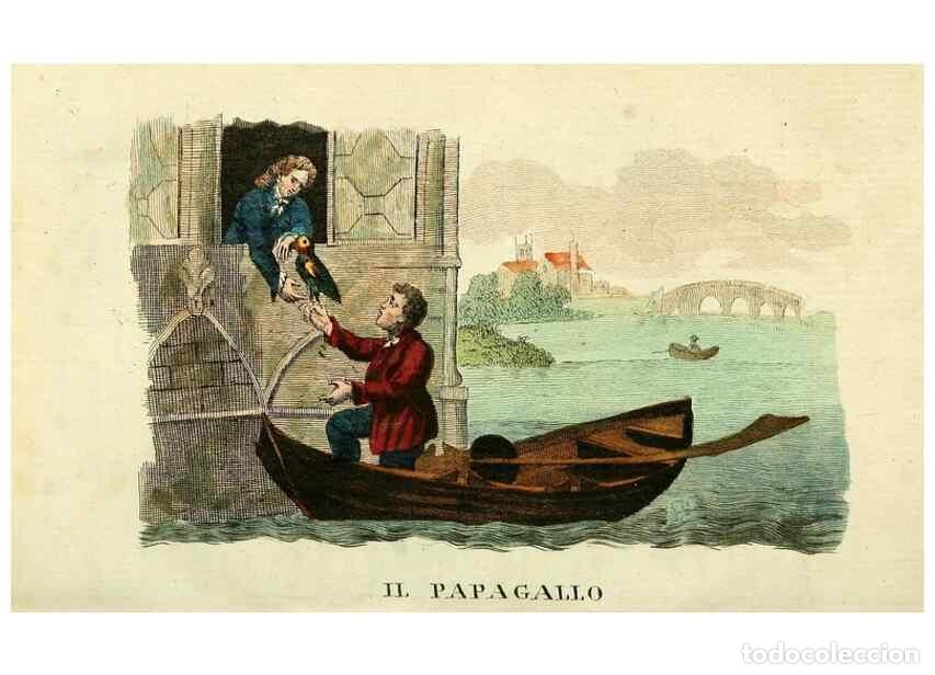 Coleccionismo de Revistas y Peri&oacute;dicos: Reproducci&oacute;n/Reproduction 49742896632: Il gabinetto del giovane naturalista. Milano :Presso Omobono