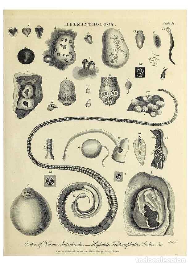 Coleccionismo de Revistas y Peri&oacute;dicos: Reproducci&oacute;n/Reproduction 49753900908: Encyclopaedia londinensis, or, Universal dictionary of arts,
