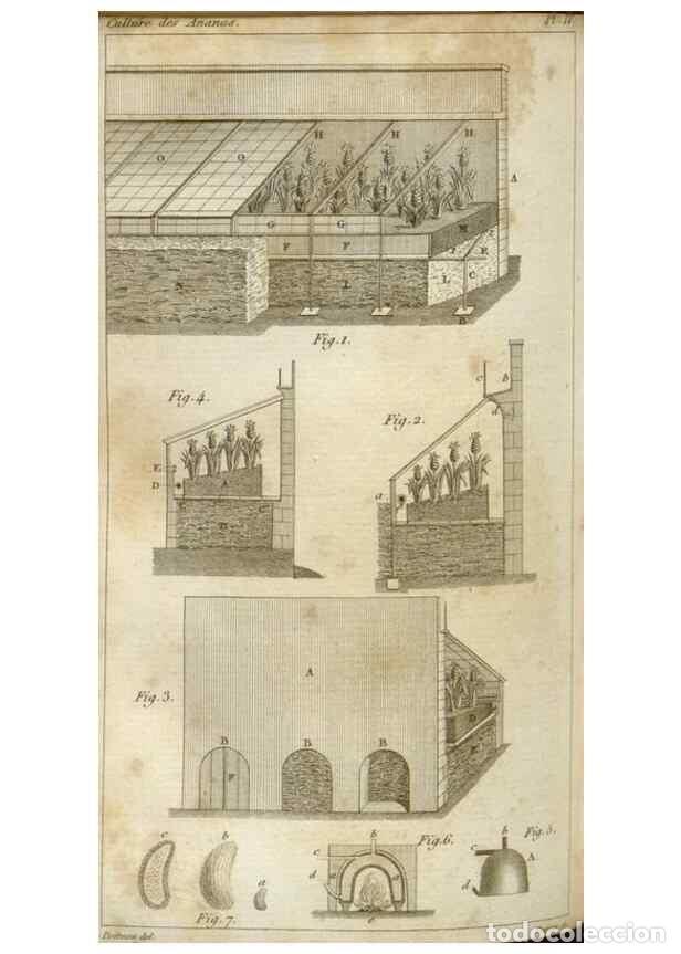 Collection Magazines and Newspapers: Reproducci&oacute;n/Reproduction 49643838787: Revue horticole.. Paris :Librairie agricole de la maison rust