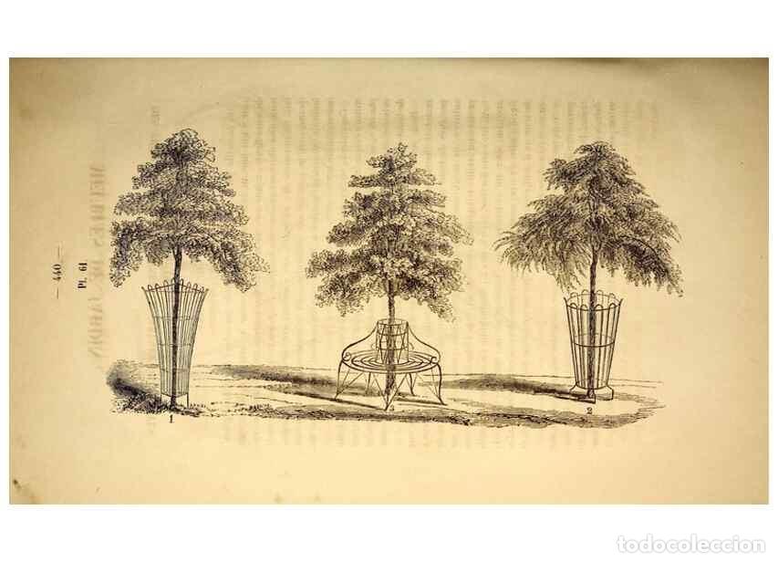 Collection Magazines and Newspapers: Reproducci&oacute;n/Reproduction 49268889903: Belgique horticole.. Li&eacute;ge.. - Morren, Charles,