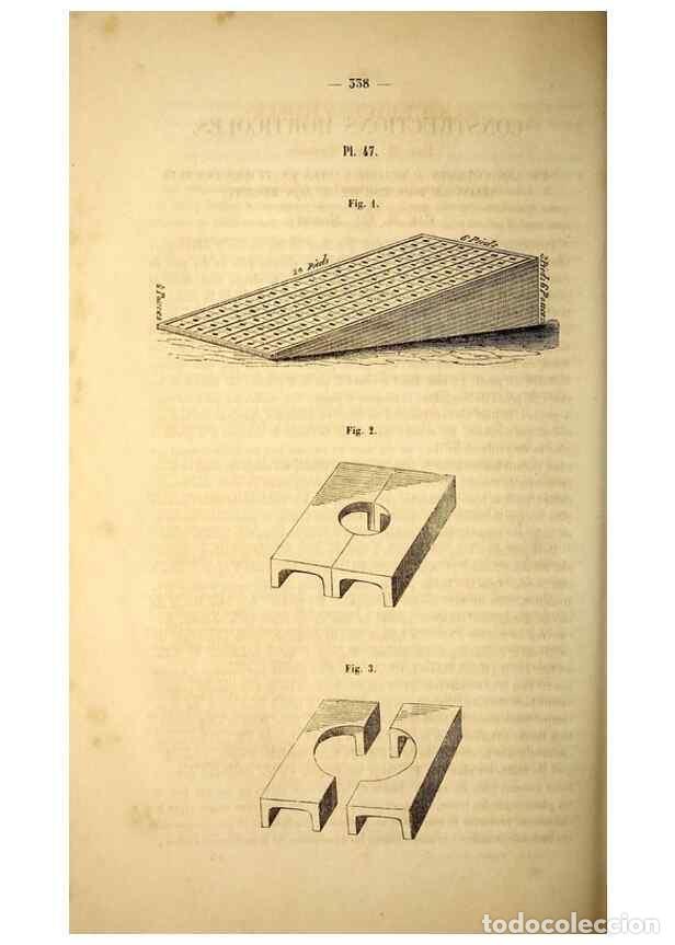 Collection Magazines and Newspapers: Reproducci&oacute;n/Reproduction 49268885728: Belgique horticole.. Li&eacute;ge.. - Morren, Charles,
