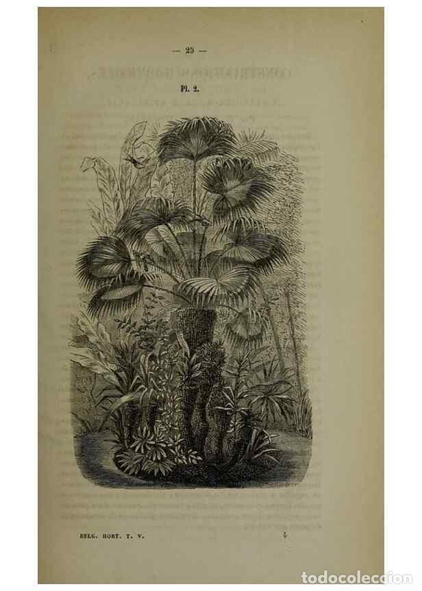 Collezionismo di Riviste e Giornali: Reproducci&oacute;n/Reproduction 49265143676: Belgique horticole.. Li&eacute;ge.. - Morren, Charles,