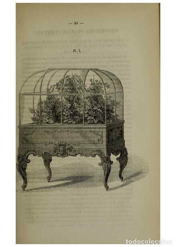 Collezionismo di Riviste e Giornali: Reproducci&oacute;n/Reproduction 49264682383: Belgique horticole.. Li&eacute;ge.. - Morren, Charles,