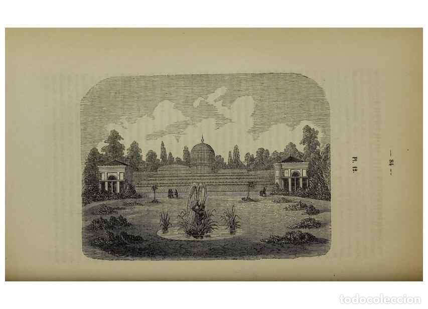 Collezionismo di Riviste e Giornali: Reproducci&oacute;n/Reproduction 49265147281: Belgique horticole.. Li&eacute;ge.. - Morren, Charles,