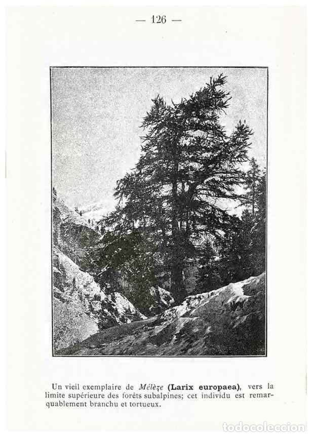 Collectionnisme de Revues et Journaux: Reproducci&oacute;n/Reproduction 49345561096: Nouvelle flore colori&eacute;e de poche des Alpes et des Pyr&eacute;n&eacute;es..