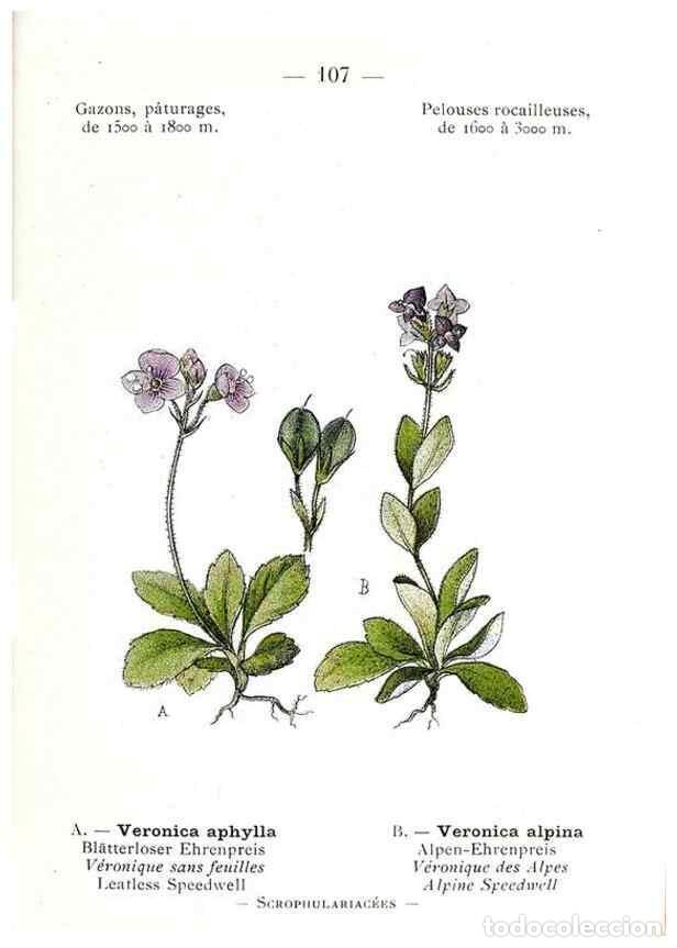 Collectionnisme de Revues et Journaux: Reproducci&oacute;n/Reproduction 49345762392: Nouvelle flore colori&eacute;e de poche des Alpes et des Pyr&eacute;n&eacute;es..