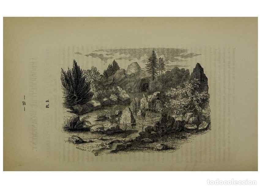 Colecionismo de Revistas e Jornais: Reproducci&oacute;n/Reproduction 49264680878: Belgique horticole.. Li&eacute;ge.. - Morren, Charles,