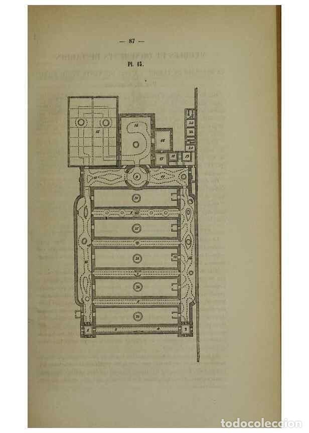 Colecionismo de Revistas e Jornais: Reproducci&oacute;n/Reproduction 49265340647: Belgique horticole.. Li&eacute;ge.. - Morren, Charles,