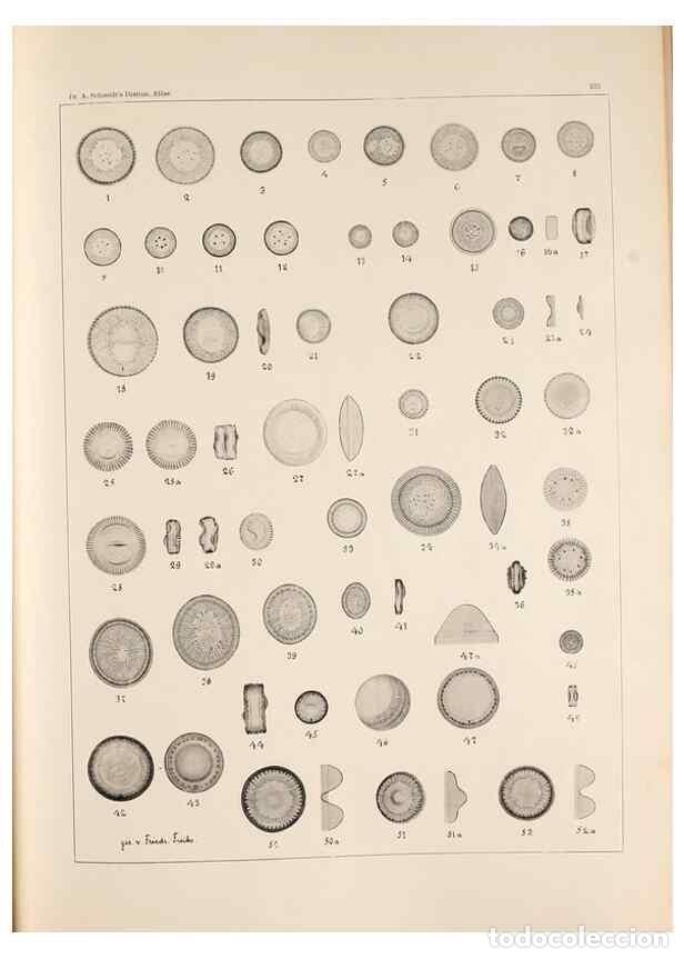 Colecionismo de Revistas e Jornais: Reproducci&oacute;n/Reproduction 49385794937: Atlas der Diatomaceen-Kunde /. Leipzig :O.R. Reisland,[1874-1