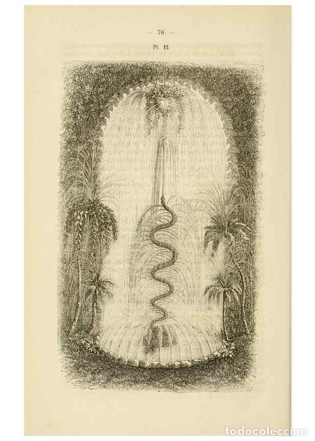 Collezionismo di Riviste e Giornali: Reproducci&oacute;n/Reproduction 49268979381: Belgique horticole.. Li&eacute;ge.. - Morren, Charles,