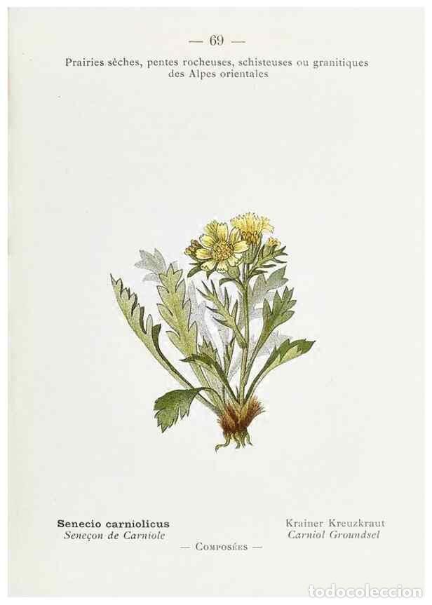 Collectionnisme de Revues et Journaux: Reproducci&oacute;n/Reproduction 49345747362: Nouvelle flore colori&eacute;e de poche des Alpes et des Pyr&eacute;n&eacute;es..