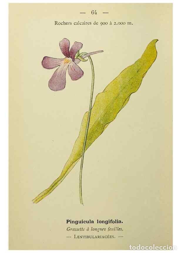 Collectionnisme de Revues et Journaux: Reproducci&oacute;n/Reproduction 49345632862: Nouvelle flore colori&eacute;e de poche des Alpes et des Pyr&eacute;n&eacute;es..