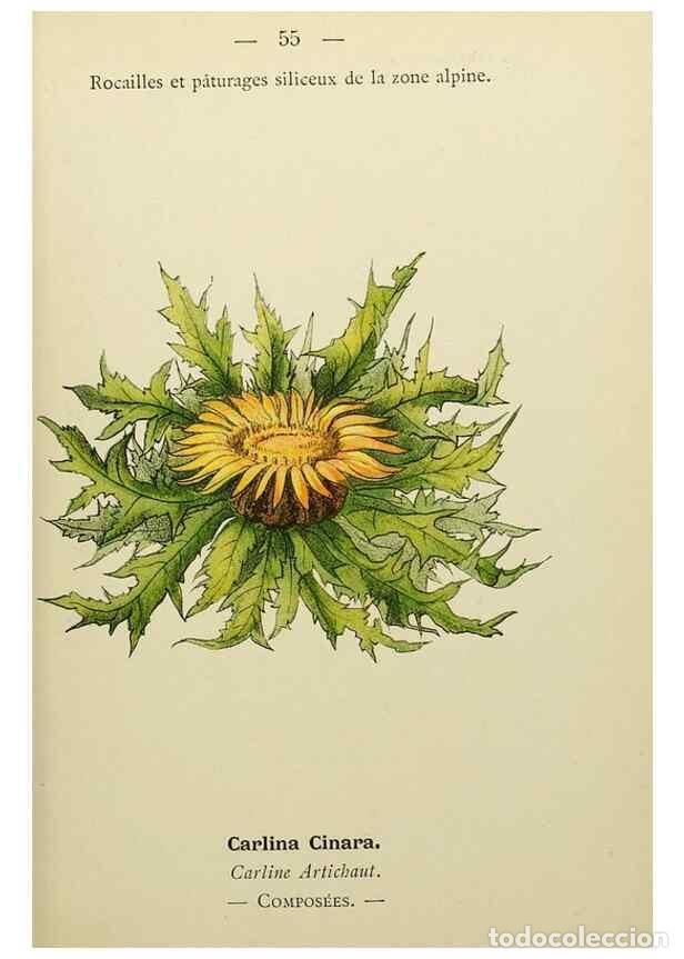 Collectionnisme de Revues et Journaux: Reproducci&oacute;n/Reproduction 49345416401: Nouvelle flore colori&eacute;e de poche des Alpes et des Pyr&eacute;n&eacute;es..