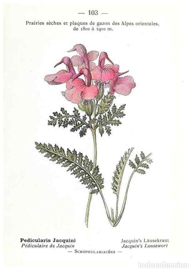 Collectionnisme de Revues et Journaux: Reproducci&oacute;n/Reproduction 49345086908: Nouvelle flore colori&eacute;e de poche des Alpes et des Pyr&eacute;n&eacute;es..