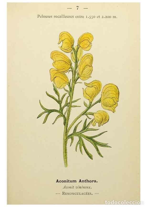 Collectionnisme de Revues et Journaux: Reproducci&oacute;n/Reproduction 49344929208: Nouvelle flore colori&eacute;e de poche des Alpes et des Pyr&eacute;n&eacute;es..