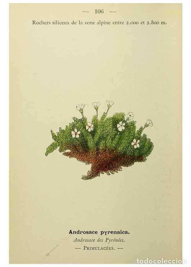 Collectionnisme de Revues et Journaux: Reproducci&oacute;n/Reproduction 49345543212: Nouvelle flore colori&eacute;e de poche des Alpes et des Pyr&eacute;n&eacute;es..