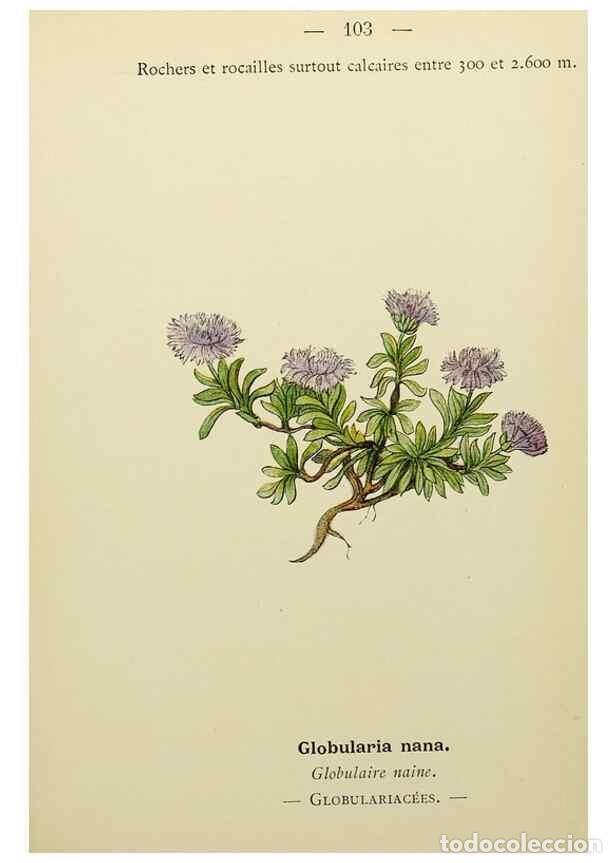 Collectionnisme de Revues et Journaux: Reproducci&oacute;n/Reproduction 49344867993: Nouvelle flore colori&eacute;e de poche des Alpes et des Pyr&eacute;n&eacute;es..