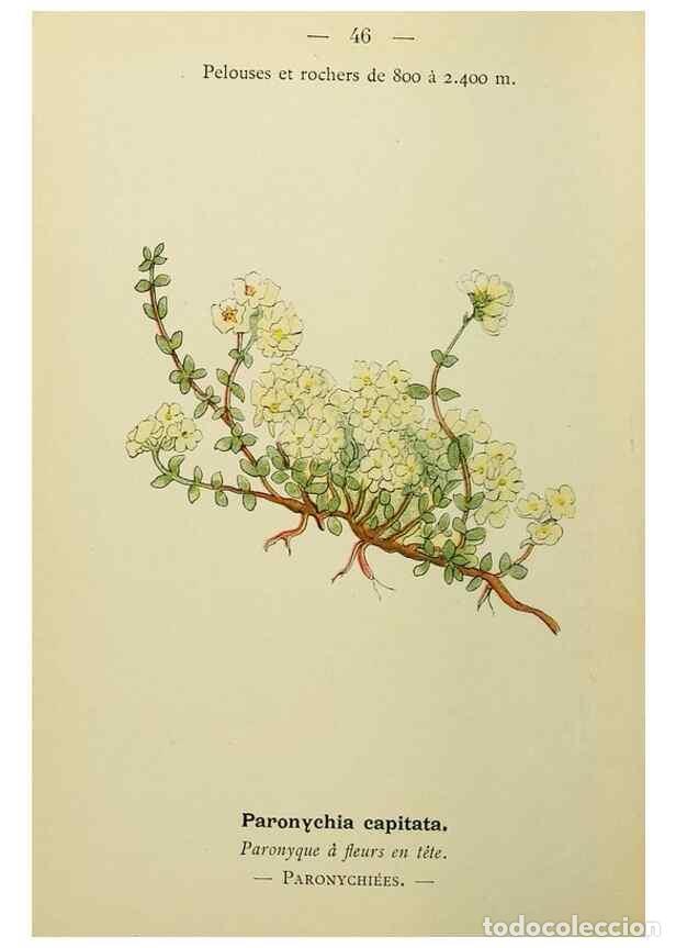 Collectionnisme de Revues et Journaux: Reproducci&oacute;n/Reproduction 49345618417: Nouvelle flore colori&eacute;e de poche des Alpes et des Pyr&eacute;n&eacute;es..