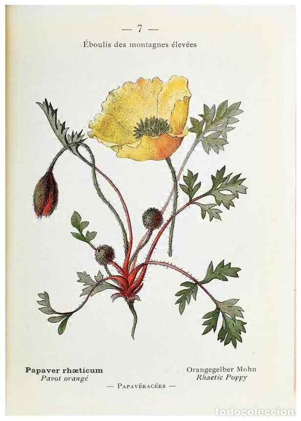 Collectionnisme de Revues et Journaux: Reproducci&oacute;n/Reproduction 49345708632: Nouvelle flore colori&eacute;e de poche des Alpes et des Pyr&eacute;n&eacute;es..