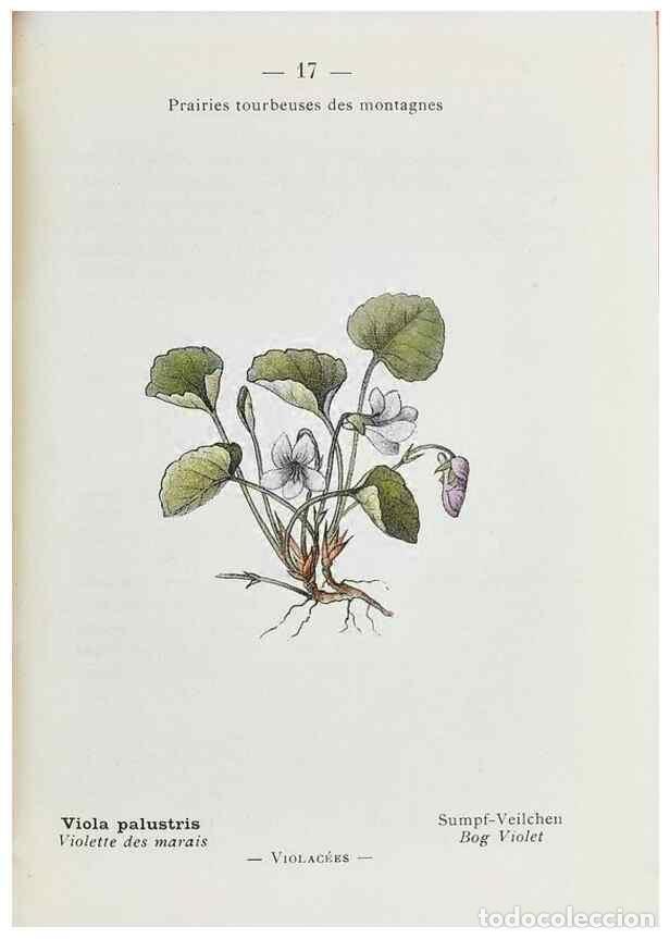 Collectionnisme de Revues et Journaux: Reproducci&oacute;n/Reproduction 49345712557: Nouvelle flore colori&eacute;e de poche des Alpes et des Pyr&eacute;n&eacute;es..