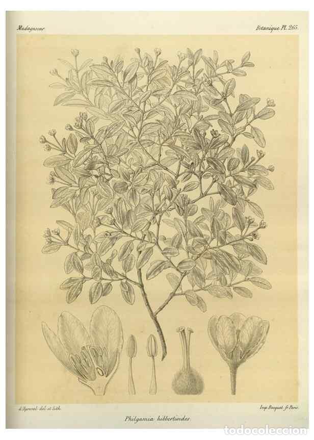 Collectionnisme de Revues et Journaux: Reproducci&oacute;n/Reproduction 49786026586: Histoire physique, naturelle, et politique de Madagascar. Par