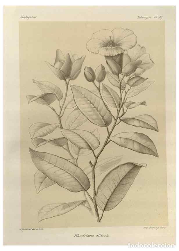 Collection Magazines and Newspapers: Reproducci&oacute;n/Reproduction 49785321913: Histoire physique, naturelle, et politique de Madagascar. Par