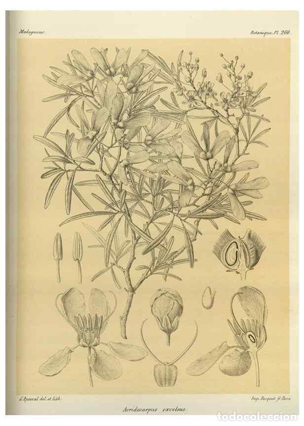 Collection Magazines and Newspapers: Reproducci&oacute;n/Reproduction 49785489293: Histoire physique, naturelle, et politique de Madagascar. Par