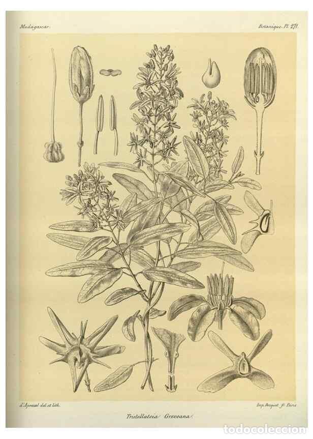 Collection Magazines and Newspapers: Reproducci&oacute;n/Reproduction 49785490798: Histoire physique, naturelle, et politique de Madagascar. Par