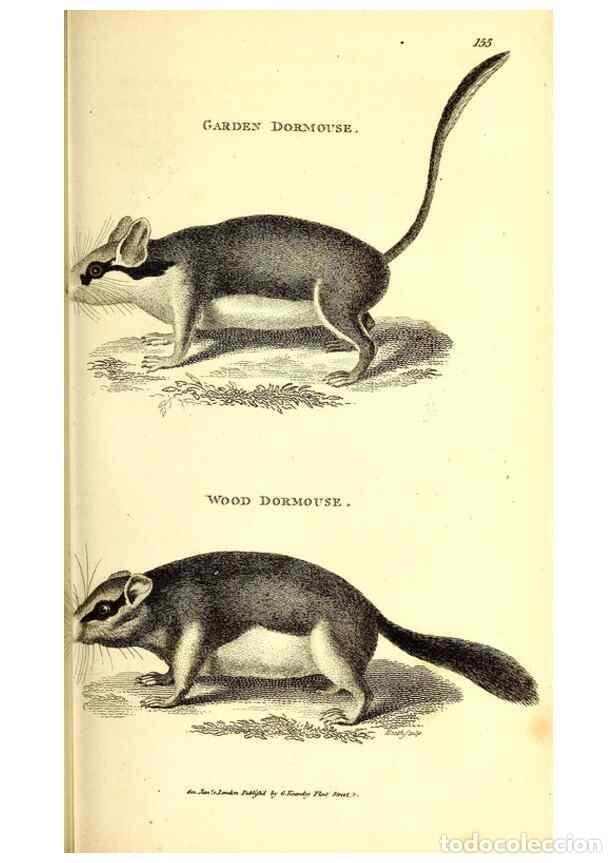 Collection Magazines and Newspapers: Reproducci&oacute;n/Reproduction 49826840677: General zoology, or Systematic natural history. London,Printe