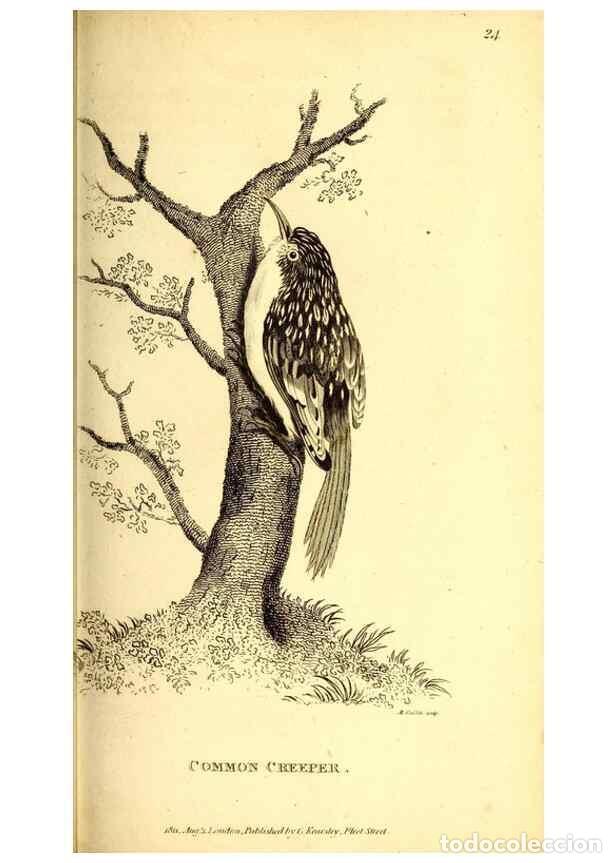 Collezionismo di Riviste e Giornali: Reproducci&oacute;n/Reproduction 49830476717: General zoology, or Systematic natural history. London,Printe