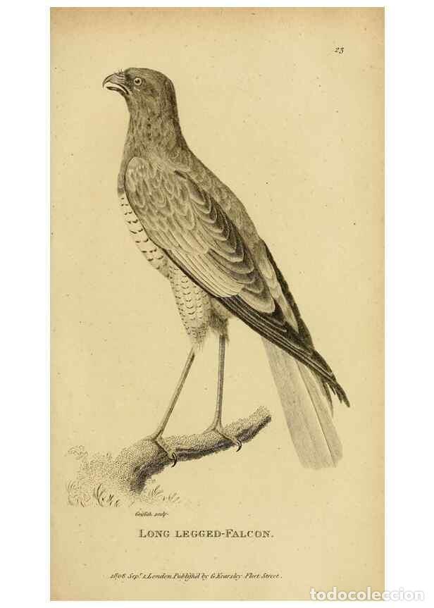 Collezionismo di Riviste e Giornali: Reproducci&oacute;n/Reproduction 49830207908: General zoology, or Systematic natural history. London,Printe