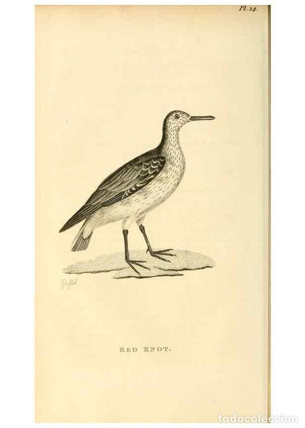 Collezionismo di Riviste e Giornali: Reproducci&oacute;n/Reproduction 49830423513: General zoology, or Systematic natural history. London,Printe