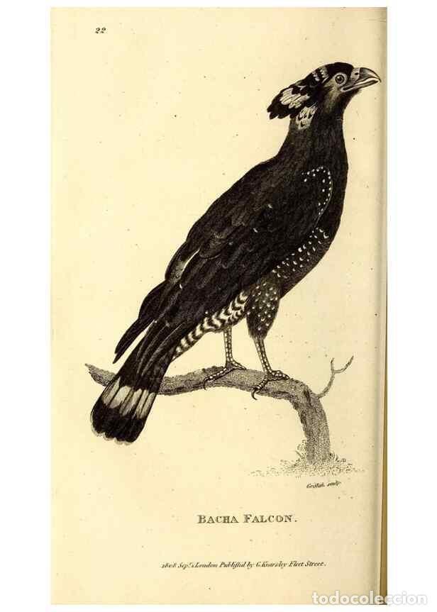 Collezionismo di Riviste e Giornali: Reproducci&oacute;n/Reproduction 49830366622: General zoology, or Systematic natural history. London,Printe