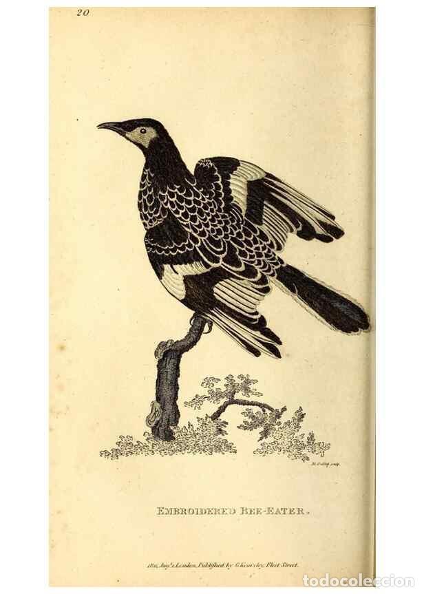 Collection Magazines and Newspapers: Reproducci&oacute;n/Reproduction 49830475457: General zoology, or Systematic natural history. London,Printe