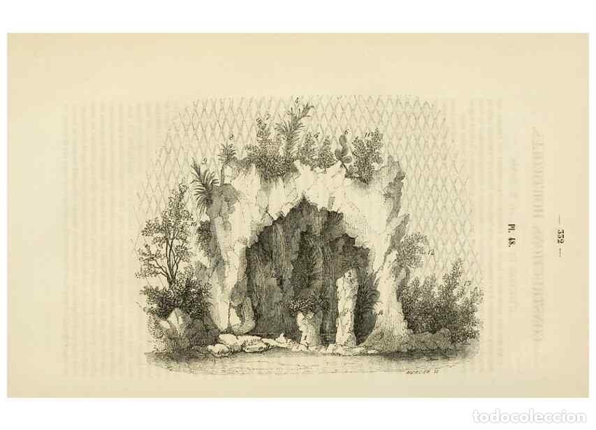 Collezionismo di Riviste e Giornali: Reproducci&oacute;n/Reproduction 49268532243: Belgique horticole.. Li&eacute;ge.. - Morren, Charles,