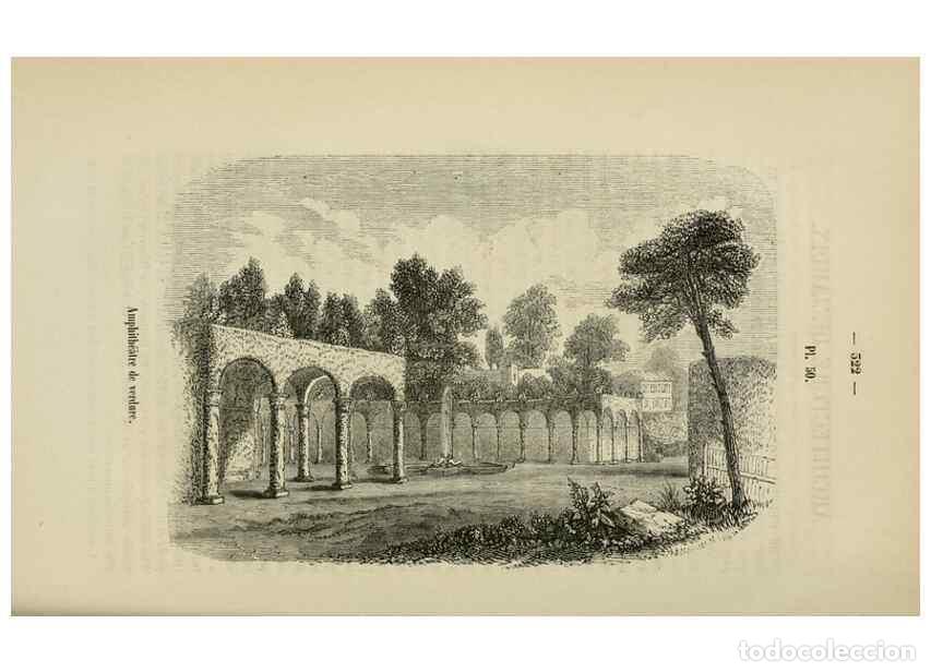 Colecionismo de Revistas e Jornais: Reproducci&oacute;n/Reproduction 49269002117: Belgique horticole.. Li&eacute;ge.. - Morren, Charles,