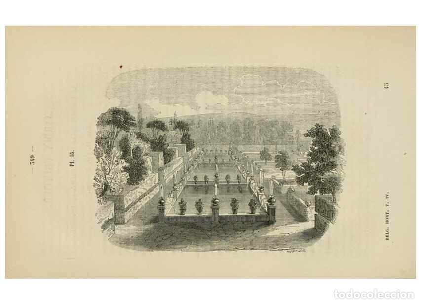 Colecionismo de Revistas e Jornais: Reproducci&oacute;n/Reproduction 49268346053: Belgique horticole.. Li&eacute;ge.. - Morren, Charles,