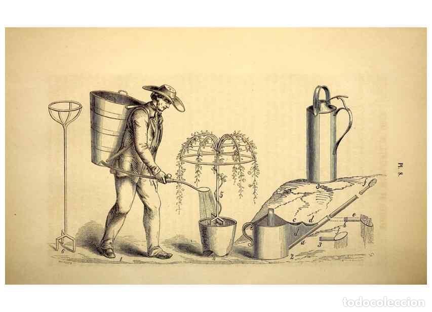 Collezionismo di Riviste e Giornali: Reproducci&oacute;n/Reproduction 49268873888: Belgique horticole.. Li&eacute;ge.. - Morren, Charles,