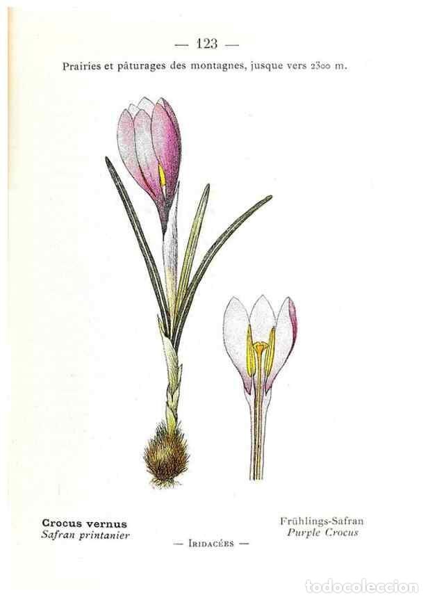 Sammeln von Zeitschriften und Zeitungen: Reproducci&oacute;n/Reproduction 49345559851: Nouvelle flore colori&eacute;e de poche des Alpes et des Pyr&eacute;n&eacute;es..