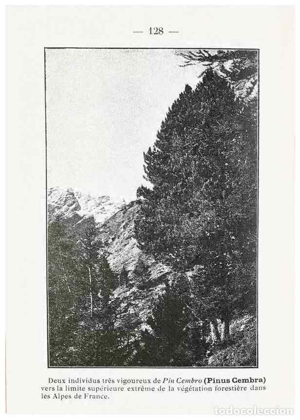 Sammeln von Zeitschriften und Zeitungen: Reproducci&oacute;n/Reproduction 49345561891: Nouvelle flore colori&eacute;e de poche des Alpes et des Pyr&eacute;n&eacute;es..