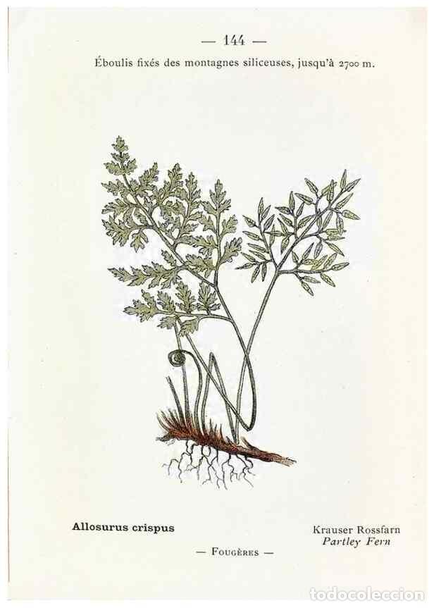 Sammeln von Zeitschriften und Zeitungen: Reproducci&oacute;n/Reproduction 49345107403: Nouvelle flore colori&eacute;e de poche des Alpes et des Pyr&eacute;n&eacute;es..