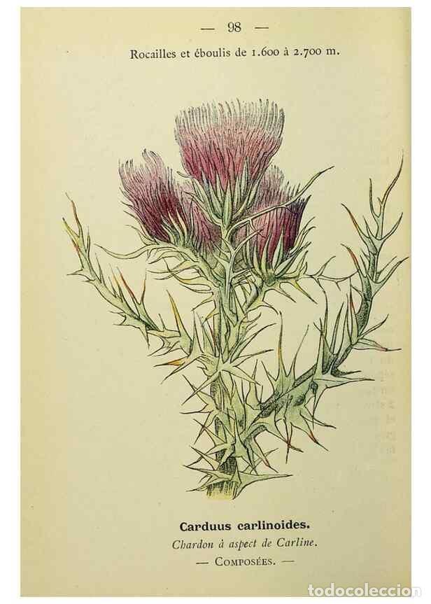 Colecionismo de Revistas e Jornais: Reproducci&oacute;n/Reproduction 49344973308: Nouvelle flore colori&eacute;e de poche des Alpes et des Pyr&eacute;n&eacute;es..